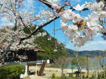 �y���V������������