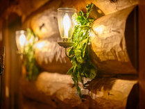 �����o�J���X�r���b�W