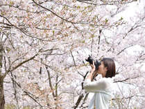 �����x�C�z�e��