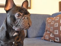 �L�n����@�L�n�Z��