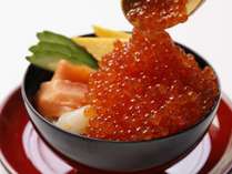 �V�R���� ���̓� ��h ��T�x�R�i�h�[�~�[�C���`�F�[���j