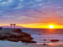 �z�e���ɓ��}