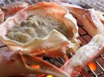 ��������@�����ˑ�