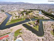 �z�e���}�C�X�e�C�Y���ٌܗŊs