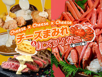 �u���[�Y�x�C�@�V�[�T�C�h���]�[�g�M�C�i�a�a�g�z�e���O���[�v�j