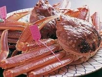 �������ف@���c��