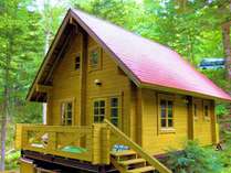 �y���V�������݂̎�