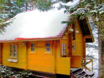 �y���V�������݂̎�