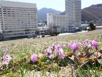 苗場プリンスホテル