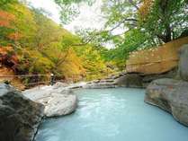 �k����i�̏h�@���쉷��@�������@