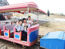 �z�e���O���[���v���U��z