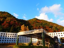 ����܂R���@�����q����