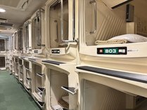 �J�v�Z�����T�E�i���X�R�i���J�v�Z���C����j