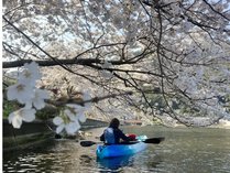 若狭・三方五湖の湖畔にあるクラフトビールの宿 湖上館パムコ