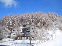 guesthouse POINSETTIA