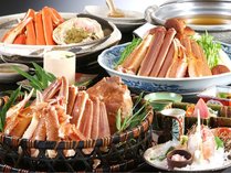 ���H�Ƃǂ��C�̋������@������ ��u�̂�