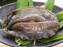 ���߉���@�א�t�i�������񂩂��j