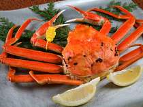 ���t�����̏h��@�G�|