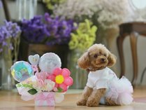 A.Letter �`Photo Studio & Atelier Hotel�`