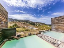 �����z�e���W�����N