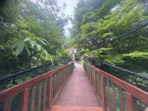 �M�v����@�B