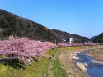 ���t�̏h�@�V�R����@��������