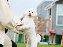 �r��������������