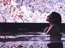 �z�e���C���f�B�S�������� by IHG