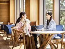 Doggy�fs Coast Oarai