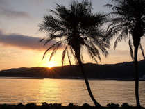 �C�ӂ��U��ł��鉷��h�@�T���Z�b�g�����݁i�������h�Ɂj