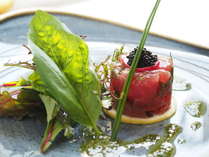 �����ȐX�̃I�[�x���W���@�Ԃ̐X�N�����X