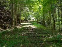 ���h�@���䑑