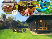 ��\�㗢�e���X�q���r-����-