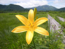 �����ˑq����@���b�W�܂���