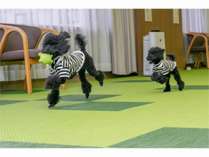 �����ׂ̈Ƀf�U�C�������z�e���@�R���h�[�����͌��@Dog��Resort