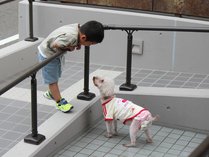 ������ ����