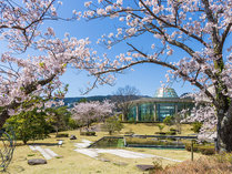 �q���g�����c�����]�[�g���X�p