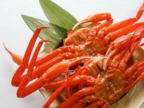 ���ɂ̏h �ؘa�� �ʊ�