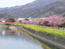 ���t�H�[���ɓ�����@���̒�