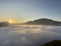 �|�c�������q���͂Ȓ�