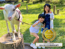 1000M�̂����ĂȂ��@�����x�@�z�e������