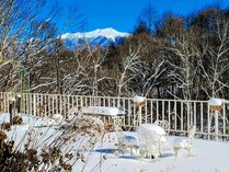 �y���V�����@�R���{�b�N��