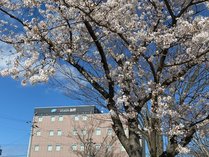 �C����Z���g�����z�e������