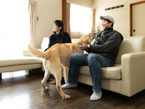 �m�����������@�b�������������@�`������������