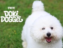 Doki Doggie ���� globe