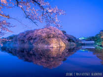 �т�ΔȖ��o�̏h�@�o�t��