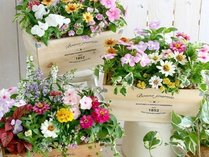 �z�e���Ζ{