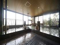 �V�R����@�����̓��@�h�[�~�[�C���啪