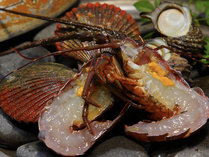 �S�������h�@�j���[�͂܂���������