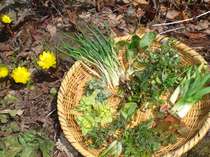 �ˉB�_�Ё@�h�V�n��